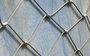 Two Poems by Sheila Maldonado