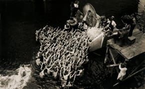 Study Finds We Prefer Art Made by Individuals over Collectives