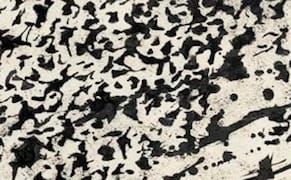 Further Adventures in Mescaline