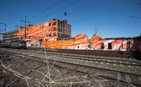 A Shock of Color in the City