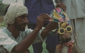 Sigmar Polke’s Sad, Sinister Little Movie of a Monkey and a Bear