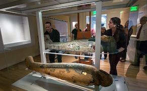 RISD Museum to Unveil New Galleries Featuring Ancient Egyptian and Asian Art