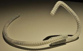 The Scope of Ai Weiwei's Imagination