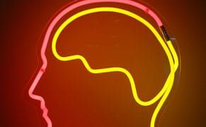 Study Finds Making Art May Keep Our Brains Healthy