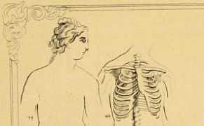 Dress as Fine Art: 19th-Century Self-Improvement Manuals