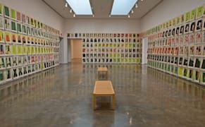 Shape Shifting and Body Politics: Amy Sillman at Bard College