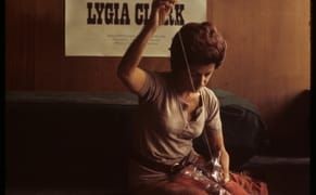 The Radical Brazilian Artist Who Abandoned Art