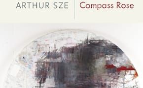 Glow-in-the-Dark Jigsaw Pieces