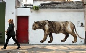 Explore the Activist Street Art of Buenos Aires Online