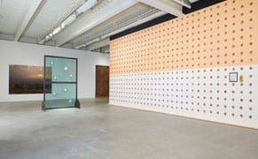 Deconstructing an Artist's Dubious Claim