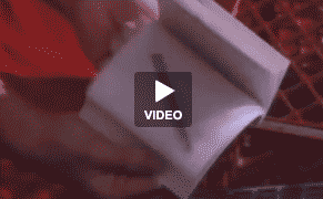 William Wegman and Robert Breer's New Wave