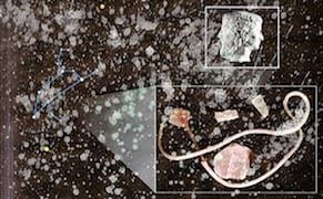 Jess Hirsch & Cassie Thornton Duke It Out in 'TAG: Round 2’ at SPACES