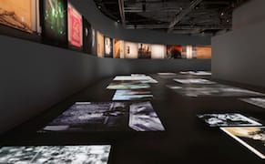 Lamenting Images: 'New Ghost Stories' at Palais de Tokyo