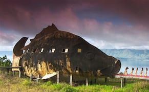 Seven Artists, Writers, and Musicians Among 2014 MacArthur Fellows