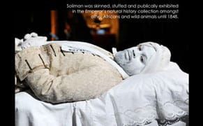 Protesters Call for Cancelation of Performance Dramatizing Colonial Racism [UPDATED]