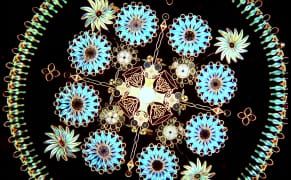 The Last Victorian Microscope Artist