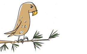 Nature's Performance Art