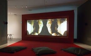 Ute Meta Bauer's Laboratory for Experimentation