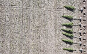 Photographing a 21st-Century Landscape When the Land Itself Is Disappearing