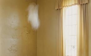 Artifice, Authorship, and the History of Photography