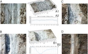 New Evidence that Neanderthals Made Art