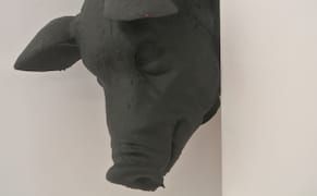 The Psychedelic and Porcine Provocations of Oreet Ashery