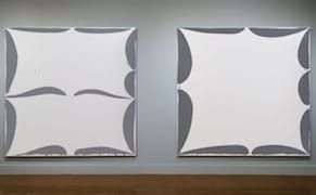 Fortuitous Paintings, Between Plan and Action