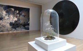 The Life and Death of an Exhibition