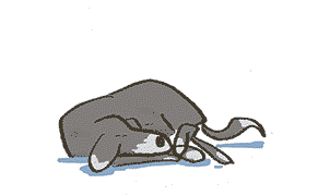 The Most Important Part of the Creative Process