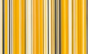 Tactile Sensations, Borrowed from Nature