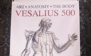 Anatomist of Influence: Celebrating a Renaissance Physician's Legacy in Art and Technology