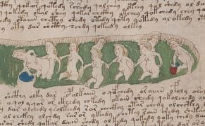 New Scans of the Voynich Manuscript, a Medieval Book No One Can Read