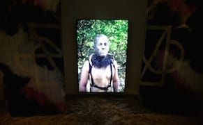 An Ecology of Affect and Desire: AA Bronson's 'House of Shame'