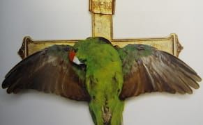 Taxidermy Sculptors Strut Their Stuff