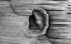 Overheard in the Art World