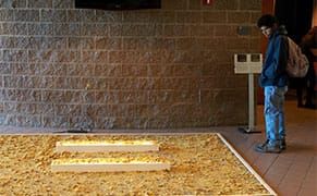 A Memorial to Mexico's Murdered 43