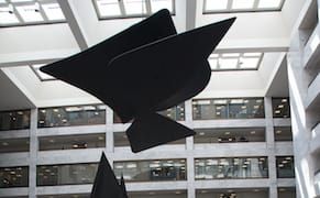 How Many DC Bureaucrats Does It Take to Fix a Calder Mobile?