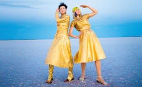 With Tech, Satisfying a Need for Artistic Speed