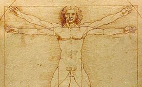 The Original Renaissance Man and His Brain