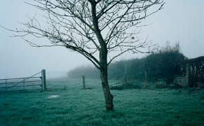 Shooting Sites of Execution