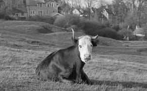 Tate Digitizes 52,000 Artifacts from the Lives of British Artists