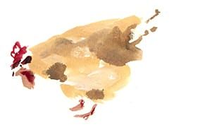 Will Paint Chickens for Eggs