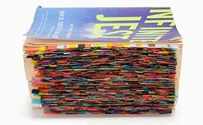 Reading David Foster Wallace for the Colors