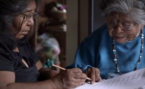 On the Brink of Extinction, an Indigenous Language Gets Its First Dictionary