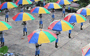 A Vibrant Portrait of Liberia in GIFs