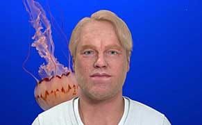 In Search of the Post-Internet at Art Rotterdam