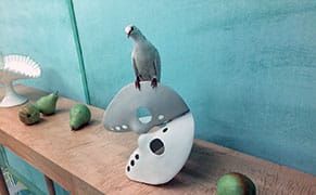 "The New Water" by Brendan Lorber