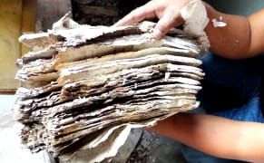 Four Million Images from the World's Endangered Archives