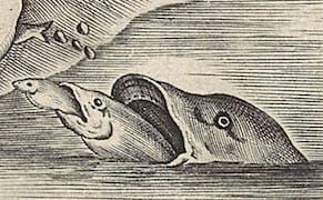 Astrological Aesthetics: March 2015 Horoscopes