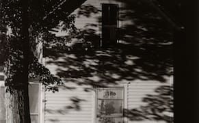 Looking for the Incredible in a Simple Moment